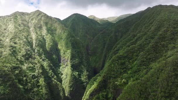 夏威夷瓦胡岛上美丽的绿色丛林山脉 空中神圣瀑布州立公园 户外探险旅游B滚动背景 神圣瀑布的热带电影性质 景观设计4K美国 — 图库视频影像