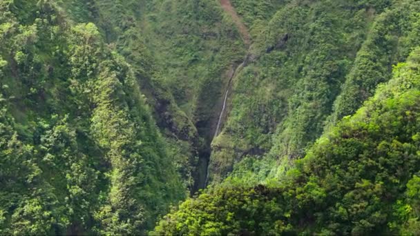 オアフ ノースショアのサクラメントフォールズ州立公園の息をのむような空中撮影 ハワイ諸島でのアウトドアアドベンチャー シネマティックグリーン トロピカル ジャングル 聖なる滝 景色の風景 ロールの背景 — ストック動画