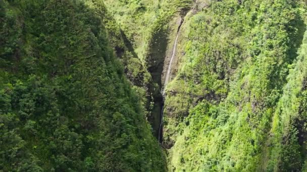 シネマティックグリーンサクラフォールズ渓谷の風景観光Bロールバック オアフ島のオハウラにある隠された聖フォールズ州立公園を詳しく見てみましょう ハウラフォレストリザーブ 空中アウトドアアドベンチャー ハワイ諸島 — ストック動画