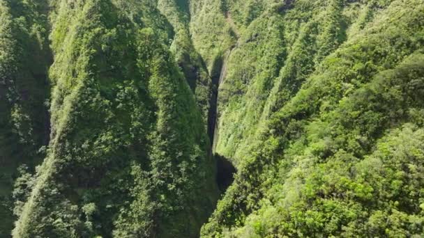 急なジャングルのエピックな自然の景色は 日差しによって光を取り除きます オアフ ノースショアのサクラメントフォールズ州立公園を眺める空中ビュー ハワイ諸島でのアウトドアアドベンチャー シネマティックグリーン 聖なる滝の谷の風景 — ストック動画