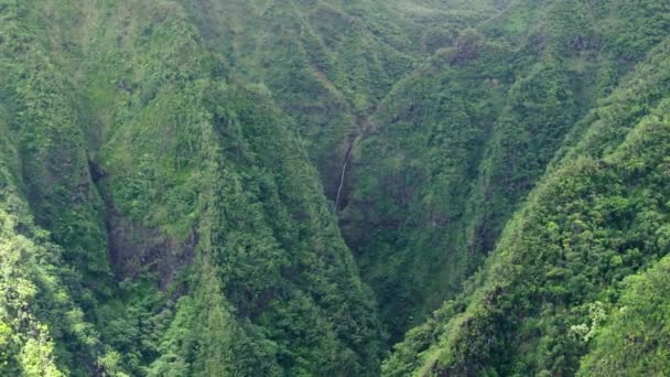 Oahu Daki Kutsal Şelale Parkı Daha Yakından Bak Havacılık Macerası — Stok video