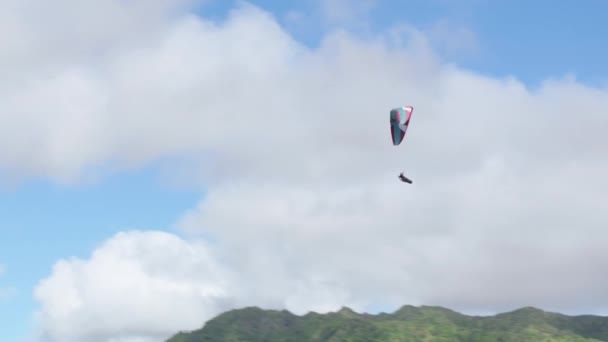 空の冒険的な極端なスポーツを練習するパイロット パシフィック オーシャンによるハワイの荒野を巡る空中 クアロアランチ撮影場所ビューポイント オアフ島 スポーツ ハワイ アメリカ — ストック動画