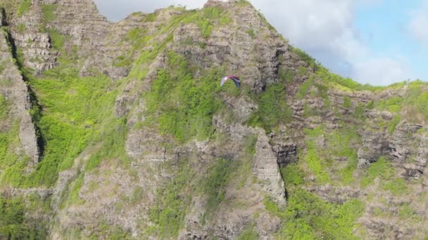 グリーン トロピカル ハワイアン山脈の壮大な景色 ブルースカイ4Kで息をのむような自然をパラグライダー 晴れた夏の日に山とクァロア渓谷を飛ぶパラグライダーの空中撮影 — ストック動画