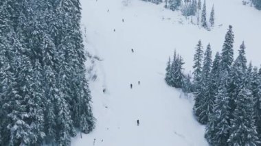 Washington 'daki Stevens Pass kayak merkezinde, yüksek dağlarda soğuk kış günü. Kış kar yağışında yavaş çekim kayak gösterisi. Güzel dağ ormanlarında kayakçıların karlı yamaçlarda uçarken çekilmiş görüntüleri.