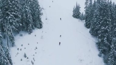 Stevens Pass kayak merkezi, Washington kar yağışı sırasında kayak şovu. Güzel dağ ormanlarındaki kayakçıların karlı yamaçlarda uçarken çekilmiş görüntüleri. Soğuk kış günü dağların tepesinde Yavaş çekim