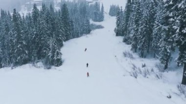 Güzel dağ ormanları manzarasında kayakçıların karlı yamaçlardan aşağı inerken yavaş çekim görüntüleri. Washington 'daki Stevens Pass kayak merkezinde, yüksek dağlarda soğuk kış günü. Kış kar yağışında kayak gösterisi