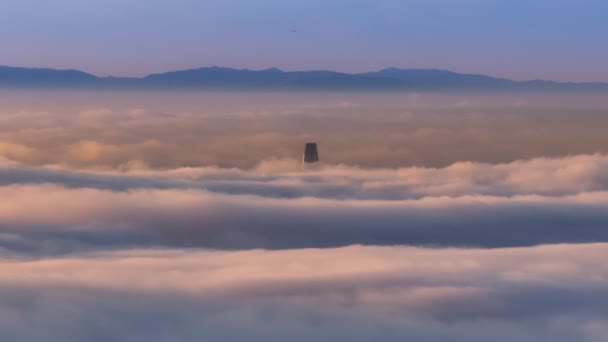 Det Högsta Tornet San Francisco Centrum Reser Sig Ovanför Paradisets — Stockvideo