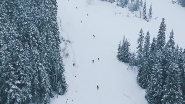 华盛顿Stevens Pass滑雪胜地高山上寒冷的冬日冬季降雪时慢动作的滑雪表演 滑雪者在美丽的山林风景中乘着雪坡飞驰而下 — 图库视频影像