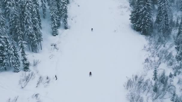 史蒂文斯通过滑雪场空中拍摄滑雪者在美丽的山林风景骑下雪坡 参考译文 华盛顿冬季降雪时的慢动作滑雪表演 — 图库视频影像