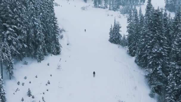 Scenisk Antenn Ovanför Skidåkare Rider Ner Snöig Sluttning Frusna Fjällskogslandskap — Stockvideo