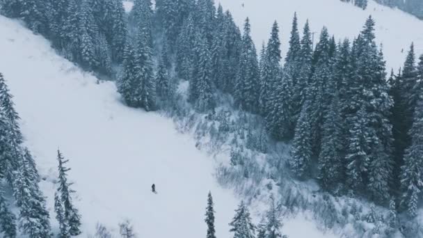 空中滑雪者在美丽的山林景观中骑着马沿着雪坡滑行 高山上寒冷的冬日 华盛顿冬季降雪时慢动作的滑雪表演 Stevens Pass滑雪胜地 — 图库视频影像