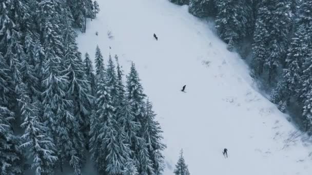 美国华盛顿州史蒂文斯山口滑雪胜地的冬季暴风雪 在结冰的山林景观中 滑雪者在雪坡上滑行 冬日冷天慢动作滑雪表演4K — 图库视频影像