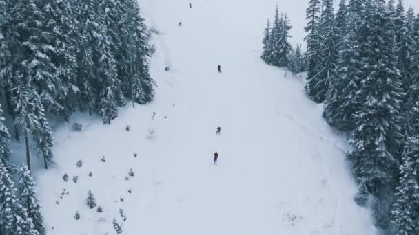 史蒂文斯 帕斯滑雪胜地 华盛顿滑雪表演在冬季降雪 滑雪者在美丽的山林风景中乘着雪坡飞驰而下 寒冷的冬日高耸在高山上慢动作 — 图库视频影像