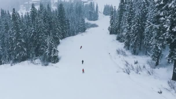 Plan Aérien Ralenti Des Skieurs Dans Magnifique Paysage Forêt Montagne — Video