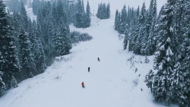 冬季降雪时慢动作的滑雪表演 滑雪者在美丽的山林风景中乘着雪坡飞驰而下 华盛顿Stevens Pass滑雪胜地高山上寒冷的冬日 — 图库视频影像