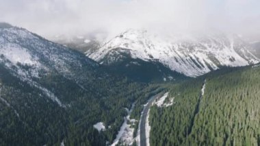 Manzaralı dağ manzarasında donmuş kışın ebedi yeşil ormanının görüntüsü. Yüksek dağlardaki soğuk bulutlu kış günlerinde hava turizmi. Kış tatili seyahat arka plan kopyalama alanı