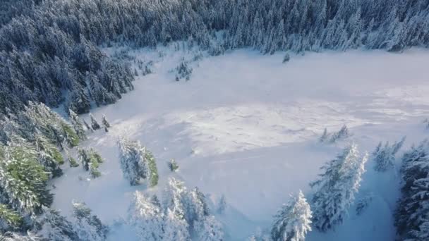 マウントベイカー国立森の冬の牧草地に無料のスキートラック 雪景色のスキー観光コピーの背景 北アメリカの山の自然 晴れた冬の朝 スティーブンスパス山脈 — ストック動画