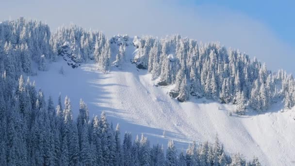 シネマティックな空中ビュー冬のワンダーランド4K映像 明るい日差しで雪で覆われた凍った冬の森の風景 青空の下で美しい太陽に照らされた火の森の雪の木の上 — ストック動画