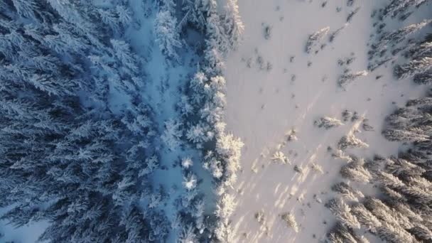Πάνω Κάτω Κινηματογραφική Εναέρια Προβολή Χειμερινό Τοπίο Drone Πλάνα Κατεψυγμένο — Αρχείο Βίντεο