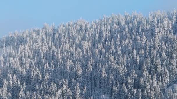 冬の晴れた朝に北アメリカの山の自然 スティーブンスパス山脈 マウントベイカースヌークミー国立森 米国の観光コピースペース背景 美しい雪は景観4Kをカバーしました — ストック動画