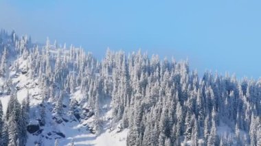 Kuzey Amerika 'da kış güneşli sabahları dağ doğasında güzel kar örtüsü vardır. Stevens dağ sırasını geçti, Baker Dağı Snoqualmie Ulusal Ormanı, ABD turizm kopya alanı arka planı