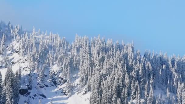 Vakkert Snødekket Landskap Nord Amerika Fjellnatur Vinteren Solfylt Morgen Stevens – stockvideo