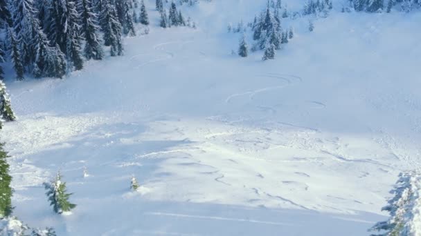 史蒂文斯路滑雪场寒冷的冬季草地上的乡间滑雪场 贝克山国家森林 滑雪旅游在雪景中模仿背景 美国山区自然阳光明媚的冬日清晨 — 图库视频影像