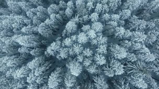 Drone Girando Acima Textura Azul Branca Férias Inverno Fundo Natureza — Vídeo de Stock