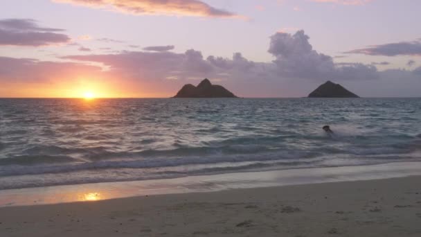 Szczęśliwa Nowożeńcy Miłości Biegną Fal Morskich Grając Oceanicznej Plaży Zachodzie — Wideo stockowe
