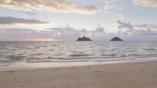 Happy Cheerful Newlywed Wife Running Sandy Beach Summer Sunrise Attractive — Stock Video