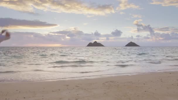 中年男人在日落时带着高举的胳膊在白色沙滩上跳跃 一个英俊的男人在天堂岛上庆祝结婚纪念日 有着美丽的日出景色 快乐的概念 — 图库视频影像