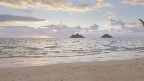 Komea Mies Juhlii Hääpäivää Paratiisisaarella Luonnonkauniilla Auringonnousulla Onnellisuus Vapaus Jännitys — kuvapankkivideo