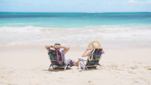 男性と女性のバックビューは 夏の休日に一緒に明るい青い海の景色と太陽風呂を楽しんでいます 男性と女性 リラックスしたアウトドアライフスタイル トロピカル旅行休暇のビーチチェアに座って — ストック動画