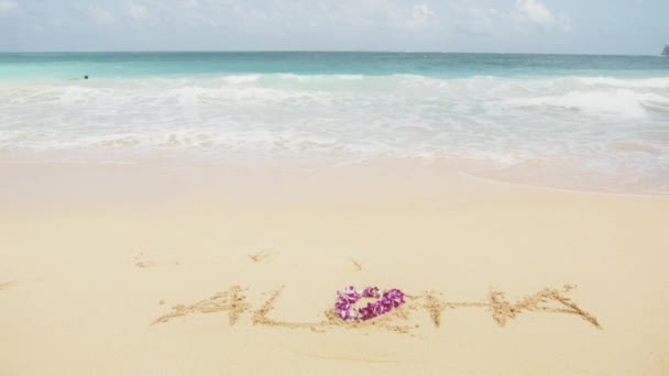 夏威夷岛上的Aloha欢迎留言和被海浪冲刷过的兰花莱花 天堂岛暑假旅行背景 在美国瓦胡岛热带海滩的沙地上写下的阿罗哈字 — 图库视频影像