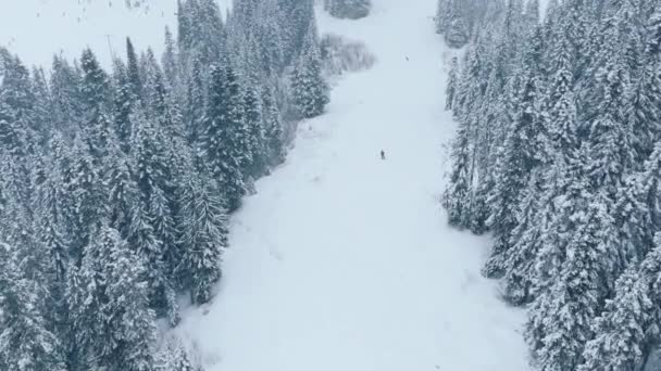 Vintersport Antenn Bakgrund Slow Motion Drönare Sköt Overhead Skidåkare Rider — Stockvideo