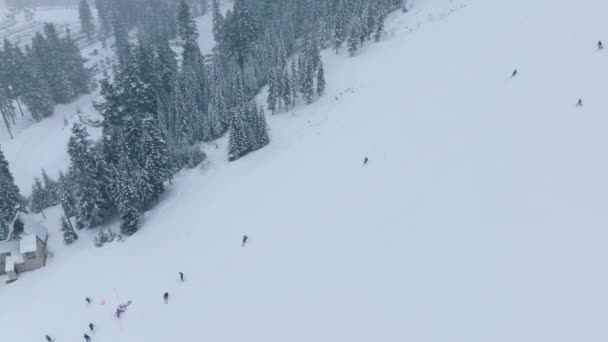Winterurlaubsreise Wintersport Luftbilder Hintergrund Zeitlupendrohne Über Skifahrern Die Schneesturm Die — Stockvideo