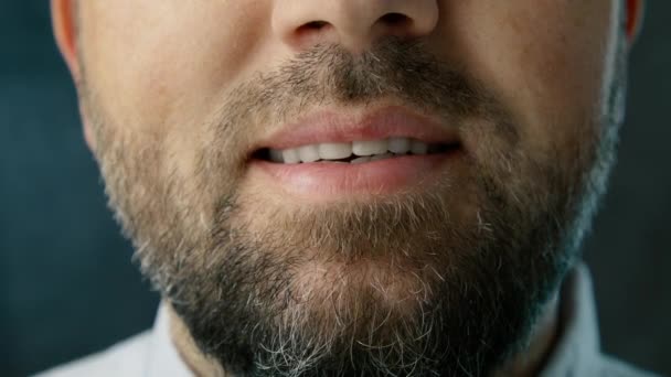 Kırpılmış Gülümseme Mavi Gömlekli Yakışıklı Adam Başarılı Profesyonel Gri Saçlı — Stok video