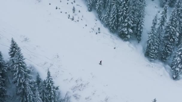 Washington Winterurlaubsreise Wintersport Luftbilder Hintergrund Zeitlupendrohne Über Skifahrern Die Schneesturm — Stockvideo