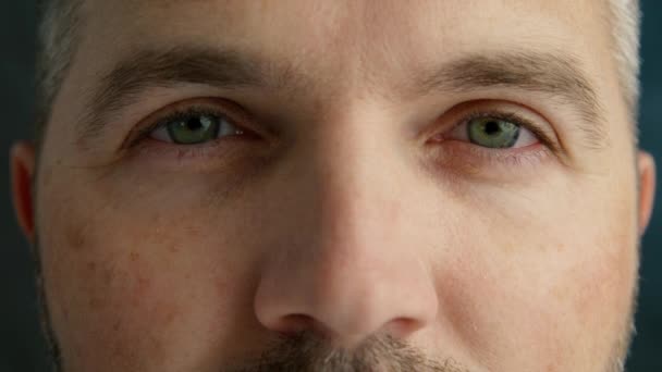Hombre Con Ojos Verdes Sonrientes Guiñando Ojo Mirando Cámara Ojos — Vídeos de Stock