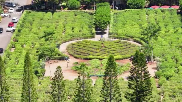 Vista Aérea Enorme Parque Labirinto Verde Abacaxi Oahu Hawaii Island — Vídeo de Stock