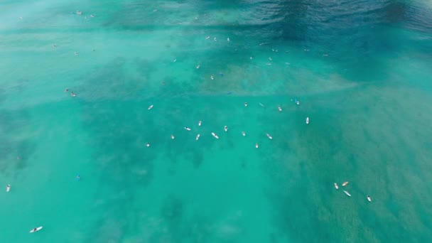 在夏威夷瓦胡岛的冲浪板上悬挂着一群空中人员 从上往下看冲浪者在等待绿浪 在美国怀基基海滩拍摄了一波波又一波波透明海水的电影场景 — 图库视频影像
