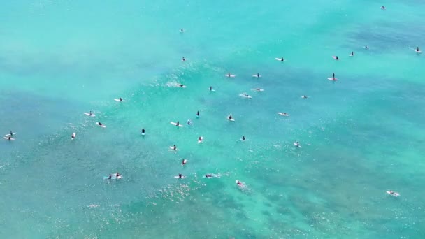 冲浪运动员在风景秀丽的威基基海滩上 一群人悬挂在瓦胡岛的冲浪板上 从上往下看冲浪者在等待绿浪 夏威夷岛透明水域的电影般的平淡无奇的波浪 — 图库视频影像