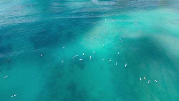 ハワイ島のワキキ岸の美しいティールブルーの海を泳ぐサーファーのオーバーヘッドシネマビュー オアフ4Kのサーフボードで泳ぐ空中の人々 サーファーは波がサーフィンに乗るのを待っています — ストック動画