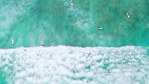 在怀基基海滩拍摄了一波波又一波波透明的海水 夏威夷瓦胡岛的冲浪板上的一组运动员的场景天线 从上往下看冲浪者试图捕捉绿浪 — 图库视频影像