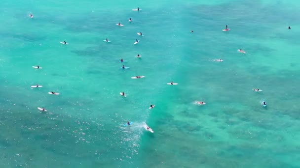 파도를 잡으려고 서퍼의 아래로 와이키키 해변에서 투명한 바다의 파도의 시네마틱 — 비디오