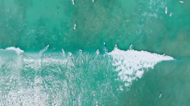 专业冲浪者在风景秀丽的威基基海滩 头顶上的冲浪者在等待绿浪 夏威夷岛上一波波令人毛骨悚然的透明海水 空中人员悬挂在瓦胡岛的冲浪板上 — 图库视频影像