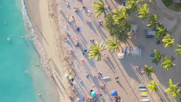 Familias Felices Nadando Pintoresca Playa Waikiki Atardecer Foto Aérea Aérea — Vídeos de Stock