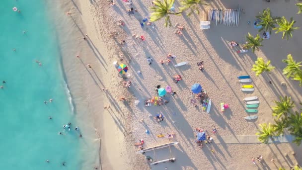 Vista Aérea Hombres Mujeres Disfrutando Del Océano Azul Viajeros Bronceándose — Vídeos de Stock