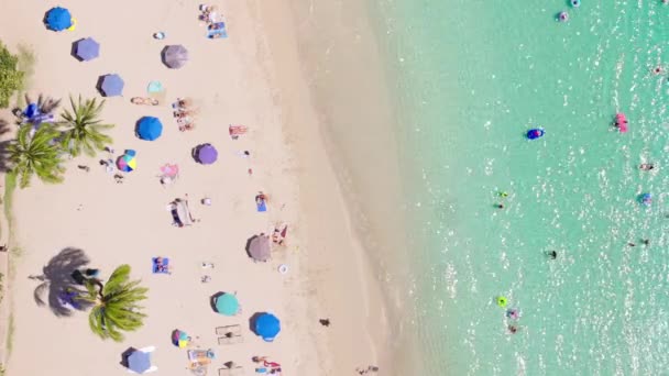游客在暑假晒日光浴 富有的游客在户外放松 坐在五彩缤纷的海滩遮阳伞下 热带度假胜地的生活方式俯瞰蓝海的男人和女人 — 图库视频影像