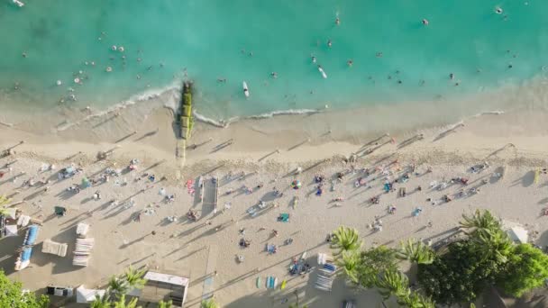 Тропический Стиль Жизни Курорта Оаху Вид Сверху Мужчин Женщин Плавающих — стоковое видео